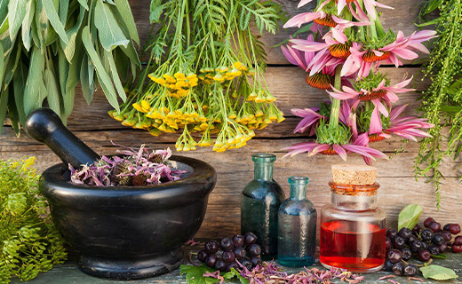 nat3 What is naturopathy?